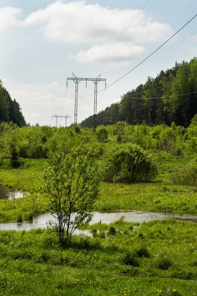 Vista Floresta Fluvial Estruturas Elétricas Alta Tensão Paisagem Florestal Verde — Fotografia de Stock