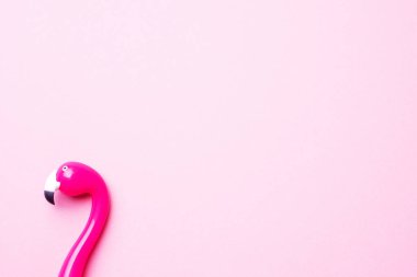 Pembe arka planda pembe bir flamingo kalem. Düz yatağı kopyala.