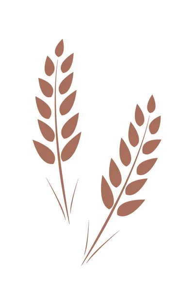 Espigas maduras de trigo. Ilustración vectorial Aislado en blanco . — Vector de stock