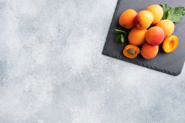 Siyah tahta üzerinde nane yapraklı olgun sulu kayısılar, beton arka plan. Boşluğu kopyala