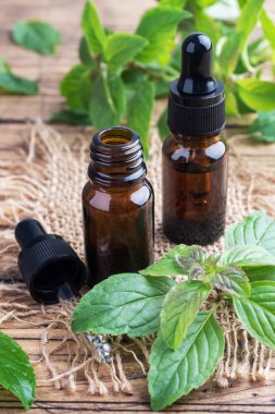 Koyu cam baloncuklardaki kokulu nane yağı, aromaterapi yağı kırsal ahşap arka planda doğal organik kozmetik..