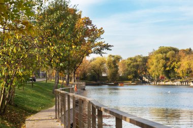 Şehir parkında sonbahar, sarı yapraklı ağaçlar