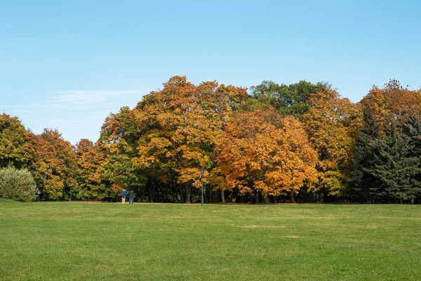 Otoño en la ciudad Parque, árboles en follaje amarillo — Foto de Stock