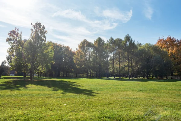 Podzim ve městě Park, stromy ve žlutém listoví — Stock fotografie