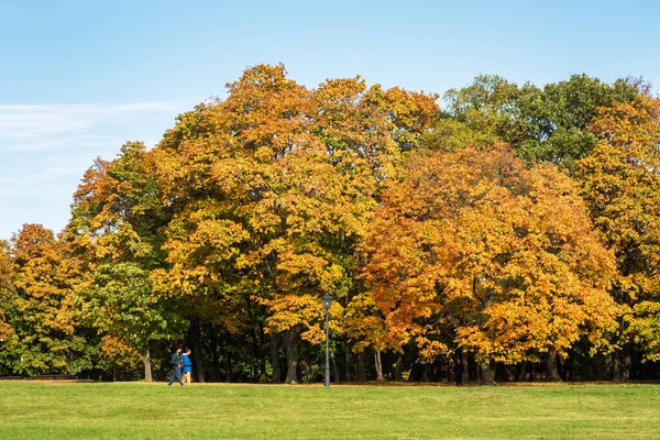 Podzim ve městě Park, stromy ve žlutém listoví — Stock fotografie