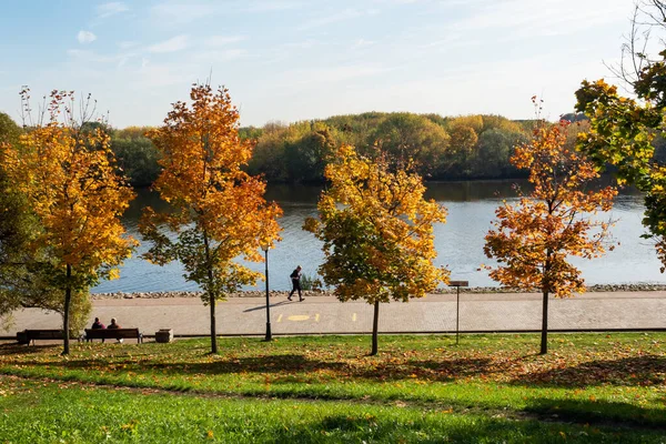 Podzim ve městě Park, stromy ve žlutém listoví — Stock fotografie