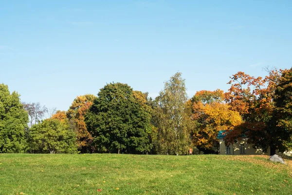 Podzim ve městě Park, stromy ve žlutém listoví — Stock fotografie