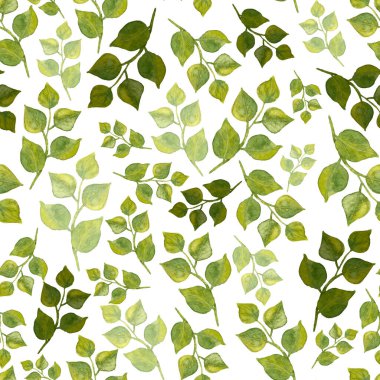 Kusursuz yaprak deseni. Beyaz üzerine izole edilmiş suluboya yeşil yapraklı dallar. El yapımı sivri yapraklar. Koyu, açık ve ortadaki renkler. Kağıt, tekstil ve arkaplan için mükemmel..