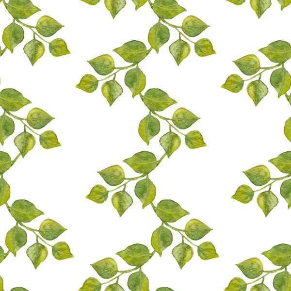 Бесшовный рисунок вертикальных линий листьев. Акварельно-зеленые полоски листовых веток выделены на белом фоне. Идеально подходит для упаковки бумаги, текстиля и фона. — стоковое фото