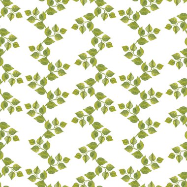 Dikey yaprak çizgilerinin kusursuz deseni. Beyaz üzerinde izole edilmiş yapraklı dalların suluboya yeşil çizgileri yukarı ve aşağı gider. Kağıt, tekstil ve arka planlar için mükemmel..