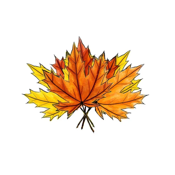 Zusammensetzung Bouquet von Digital Skizze Ahornblatt. Anordnung herbstlich gefärbtes Laub isoliert auf weiß. Aquarell-Imitation heller dunkler und heller Farben mit Flecken. Herbst, Bündel, Naturprodukt — Stockfoto