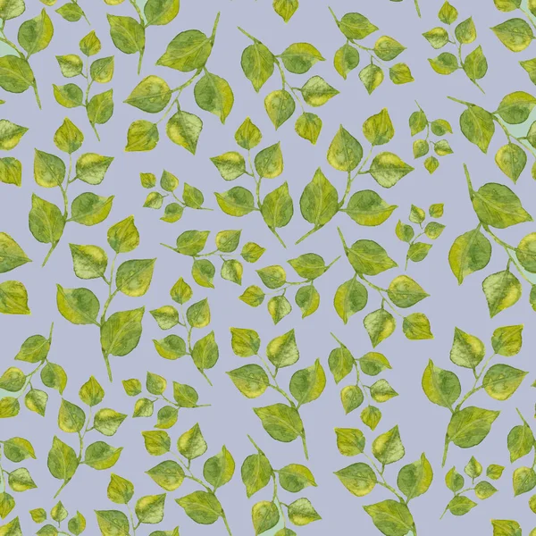 Seamless pattern of leaves. Watercolor green leafy twigs isolated on gray. Hand drawn round pointed foliage. Simple sketch or doodle style. Perfect for wrapping paper, textile.