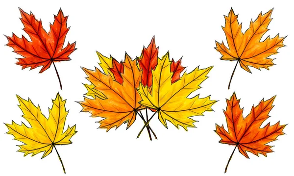 Conjunto de hojas de arce boceto digital y ramo. Arreglo de follaje de color otoño aislado en blanco. Imitación de acuarela colores oscuros y claros con manchas. Caída, paquete, producto natural —  Fotos de Stock