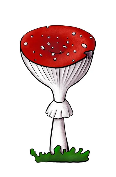 Ілюстрація червоної шапки літати агаром з відрізаними плямами на плоскій шапці на зеленій траві. Мальований вручну отруйний гриб з крапками на червоній шапці ізольований на білому. Красива аманіта росте в лісах і лісах . — стокове фото