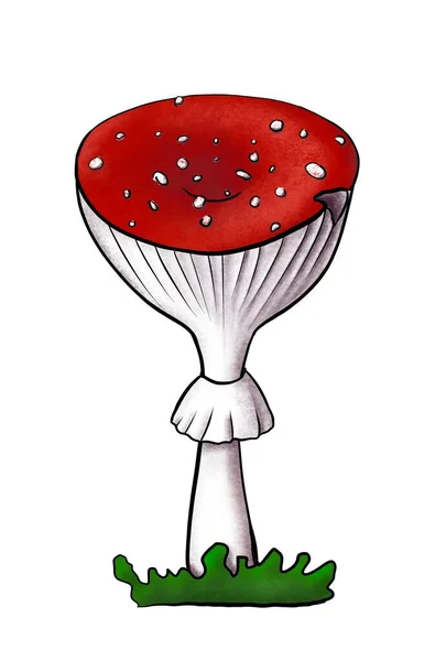 Ilustração do agaric da mosca do redcap com o ponto lascado no chapéu liso na grama verde. Cogumelo venenoso desenhado à mão com pontos no gorro vermelho isolado no branco. Amanita bonita cresce em florestas e florestas. — Fotografia de Stock