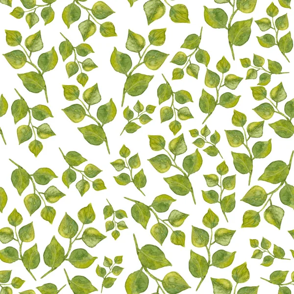 Безшовний візерунок листя. Акварельні зелені листові гілки ізольовані на білому тлі. Рука намальована круглим загостреним листям. Ідеально підходить для обгортання паперу, текстилю та фону . — стокове фото