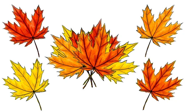 Conjunto de hojas de arce boceto digital y ramo. Arreglo de follaje de color otoño aislado en blanco. Imitación de acuarela colores oscuros y claros con manchas. Caída, paquete, producto natural —  Fotos de Stock
