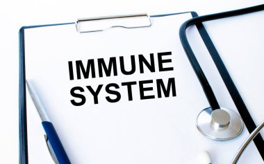 Tıbbi klasörde fonendoskop ve kalemle birlikte bir sayfa üzerinde metin immün sistemi