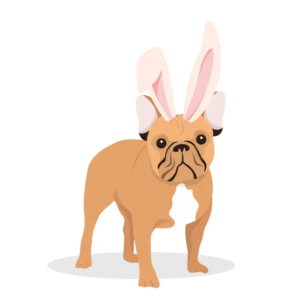 Um cão com orelhas de coelho —  Vetores de Stock