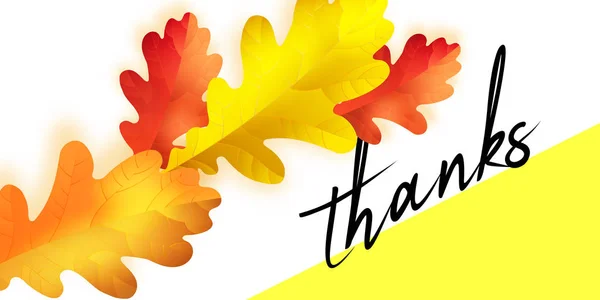 Διάνυσμα Ευχαριστιών οριζόντια πανό με χέρι γράμματα - ευτυχισμένη ημέρα των Ευχαριστιών - ετικέτα και το φθινόπωρο ρεαλιστική δρύινα φύλλα σε φόντο. — Διανυσματικό Αρχείο