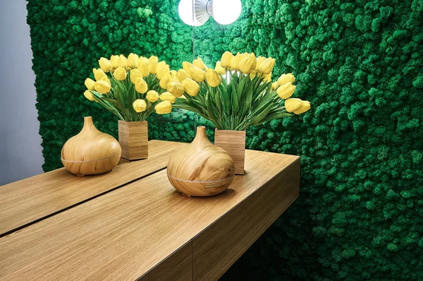 Green moss and lighting interior, background