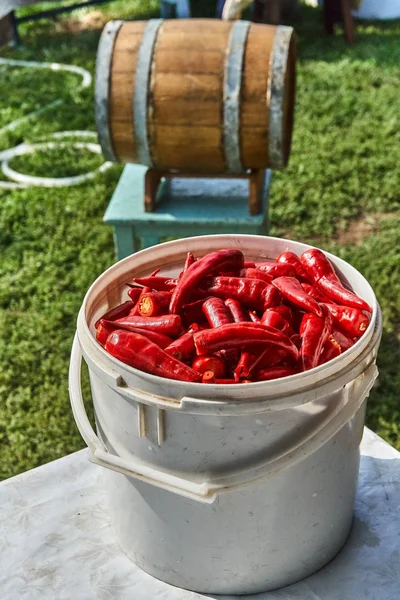 Piment Rouge Dans Seau Blanc Lavé Prêt Moudre Fût Chêne — Photo