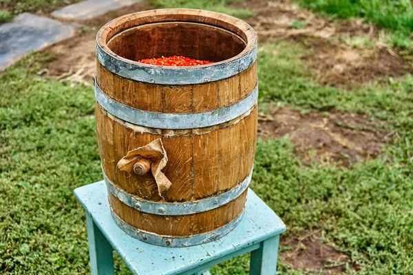 Open wooden barrel filled with milled hot pepper. Hot sauce production. Wooden barrel covered with wax on the background of green grass