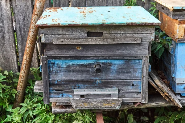 Vieja Colmena Vacía Jardín Cerca Valla Techo Está Hecho Estaño — Foto de Stock