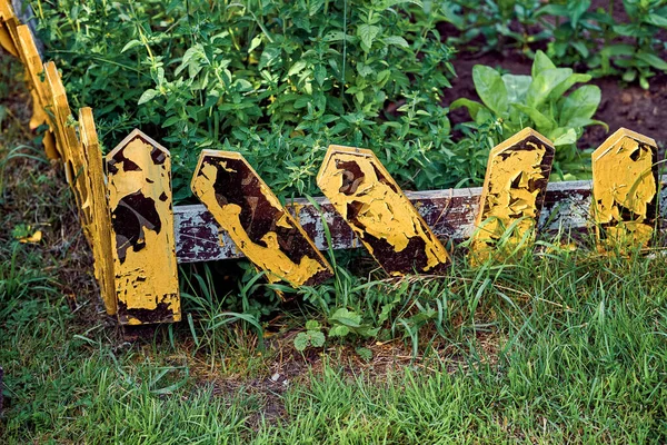 Cerca Decorativa Jardín Macizo Flores Cerca Jardín Amarillo Viejo Con — Foto de Stock