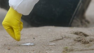 Sarı koruyucu eldivenli bir bilim adamının elinde siyah biyo-tehlikeli maddelerden oluşan bir varilin arka planında ölü bir balığı toplarken. Endüstrinin çevre üzerindeki etkisi.