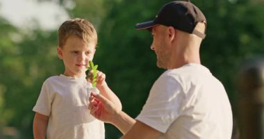 Adam, anaokulu çocuğuna doğru akasya dalını park yolunun yakınına uzatıyor. Küçük çocuk akasya dalını dikkatle tutuyor. Küçük yaprak detaylarını dikkatle inceliyor.