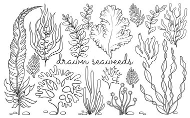 Bir çift el yapımı yosun..