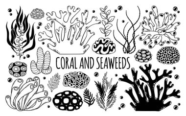 Siyah beyaz deniz yosunu ve mercan çizilmiş bir vektör kümesi..