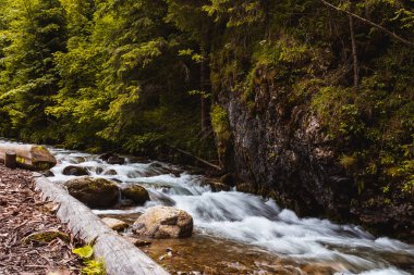Zakopan. Dağ nehri. Buruna giden yol.