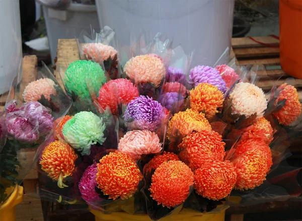 Colorful Chrysanthemum Sales Chinese New Year Eve Market — Stock Photo, Image