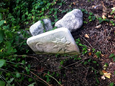 Çimlerin üzerinde bir kaldırım taşı