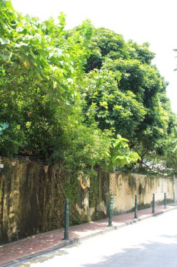 Şehir parkındaki sokak.