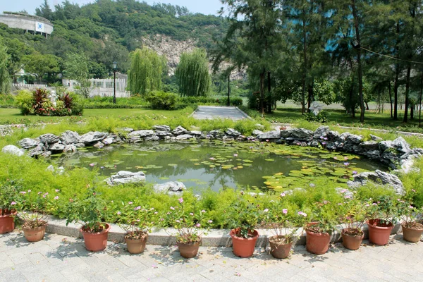 Schöner Garten Park — Stockfoto