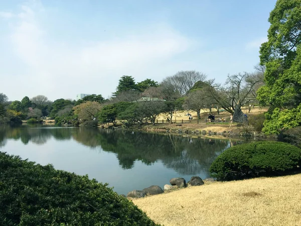 Gartenblick Auf Den Shinjuku Gyoen National Garden Japan — Stockfoto
