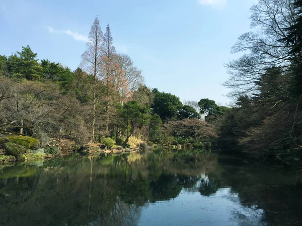 Uitzicht Tuin Van Shinjuku Gyoen National Garden Japan — Stockfoto