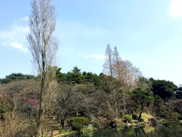 Θέα Στον Κήπο Του Shinjuku Gyoen National Garden Ιαπωνία — Φωτογραφία Αρχείου