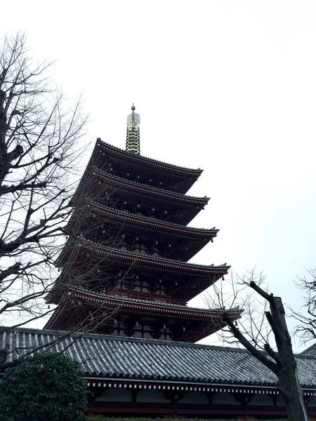 Сенсо Дзі Буддійського Храму Розташованого Асакусі Токіо Японія — стокове фото