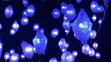 Siyah arkaplanda renkli ışıklandırma dekorasyonu