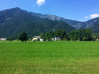 Güneşli bir günde Avusturya 'da çim ve ev manzarası