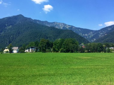 Güneşli bir günde Avusturya 'da çim ve ev manzarası
