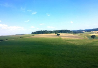 Çek Cumhuriyeti 'nde tarla ve mavi gökyüzü