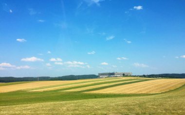 Çek Cumhuriyeti 'nde tarla ve mavi gökyüzü