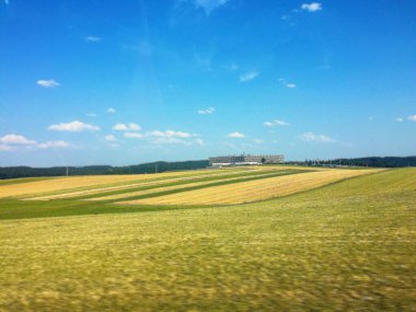 Çek Cumhuriyeti 'nde tarla ve mavi gökyüzü