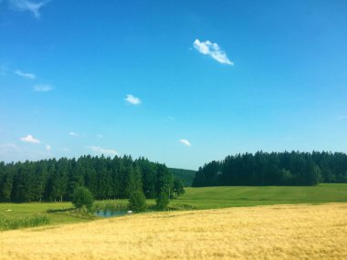 Çek Cumhuriyeti 'nde tarla ve mavi gökyüzü