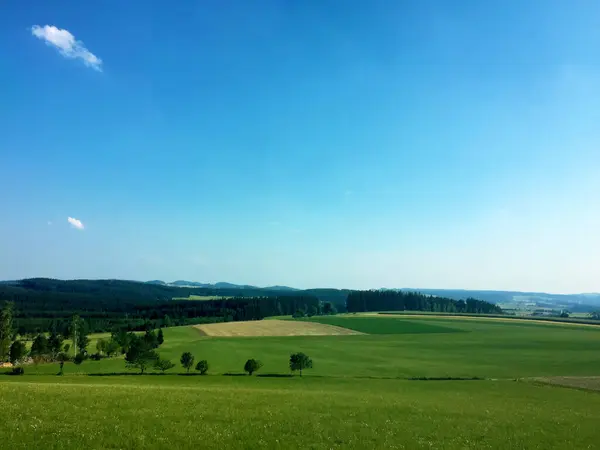 Campo Cielo Azul República Checa —  Fotos de Stock